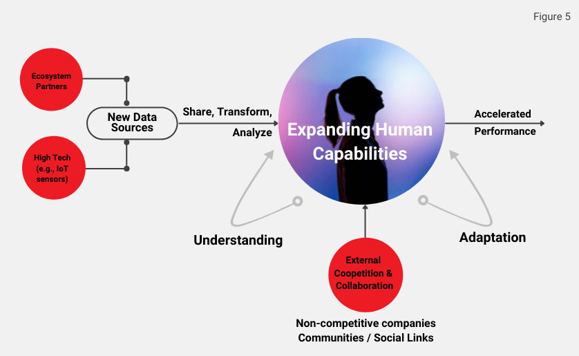 Accelerating Organizational Performance by Advancing Human Capability
