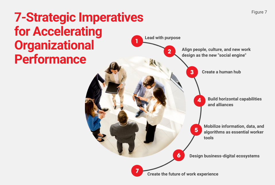 Accelerating Organizational Performance by Advancing Human Capability